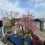 Dol - Fijn Bed and breakfast Benningbroek