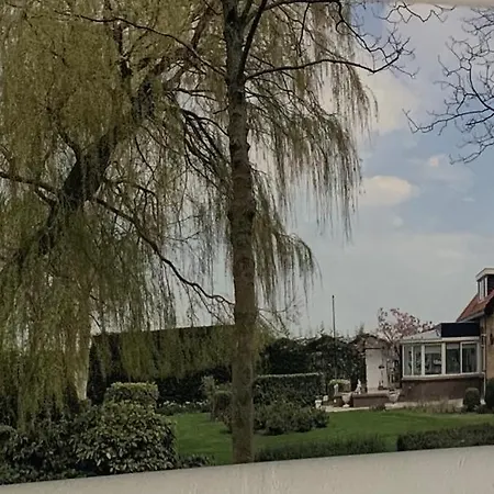 Dol - Fijn