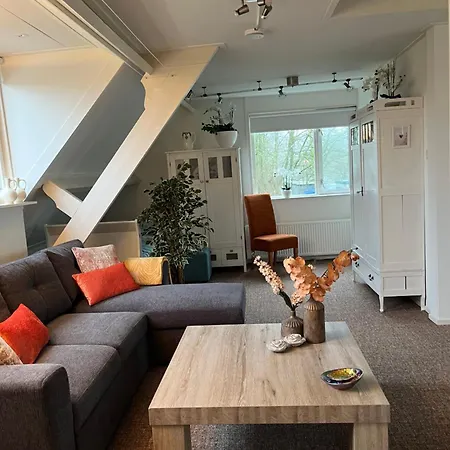 Dol - Fijn * Benningbroek