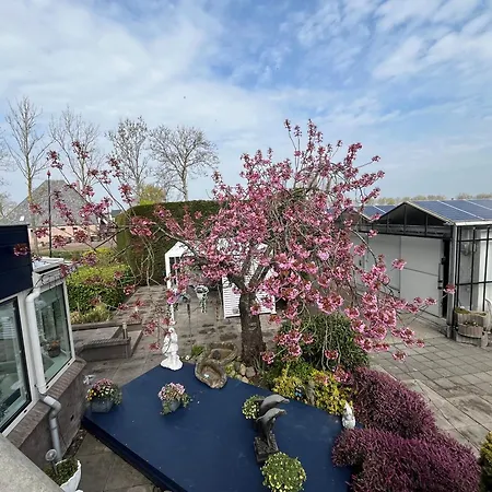 Dol - Fijn Bed and breakfast Benningbroek