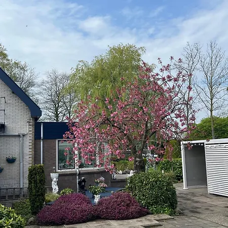 Dol - Fijn