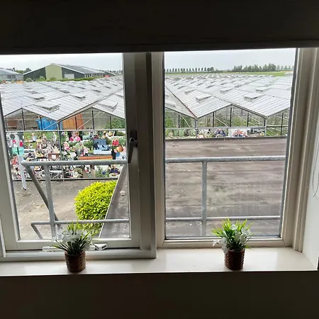 Dol - Fijn Benningbroek