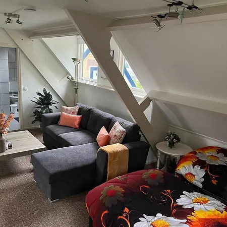 Dol - Fijn * Benningbroek