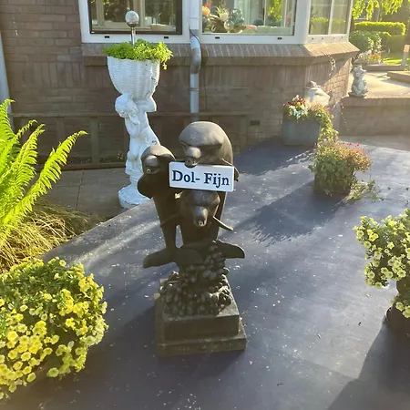 Dol - Fijn