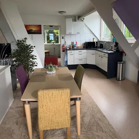 Dol - Fijn *