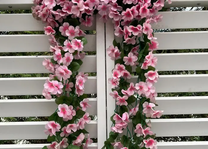 Dol - Fijn Bed and breakfast *