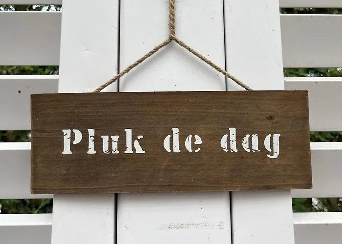 Dol - Fijn Bed & Breakfast Benningbroek
