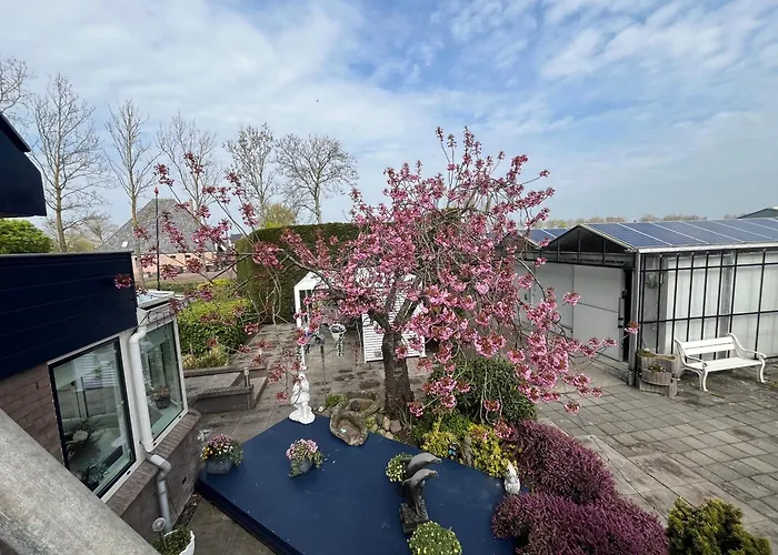 Dol - Fijn Bed and breakfast Benningbroek