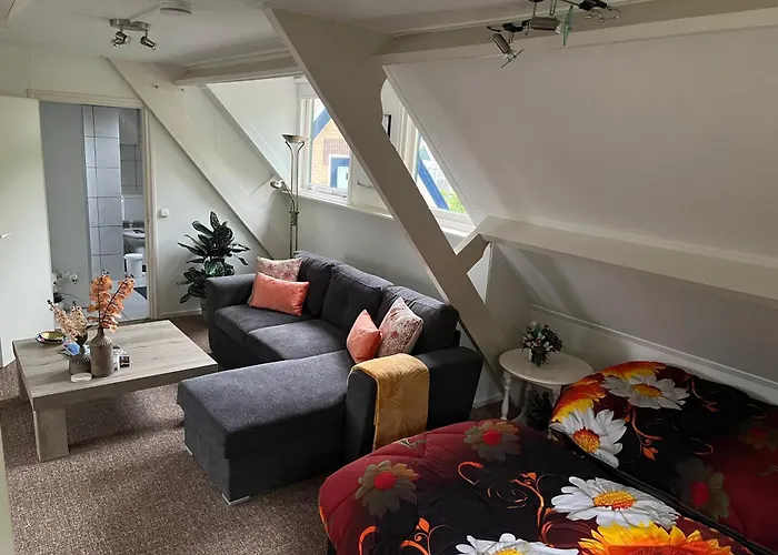 Dol - Fijn * Benningbroek