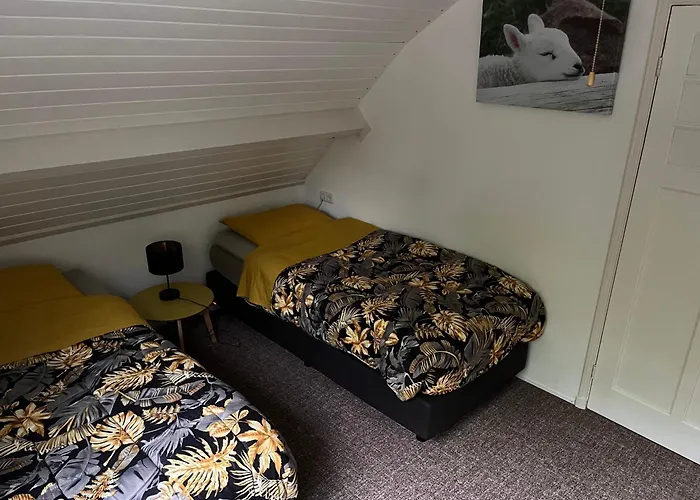 Dol - Fijn * Benningbroek