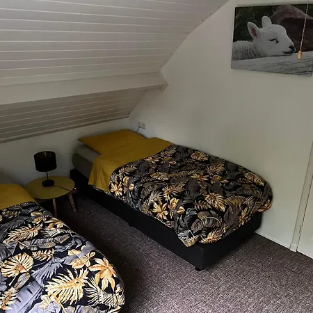 Dol - Fijn * Benningbroek